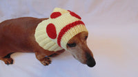 Hat dog pizza, hat pizza for small dog - dachshundknit