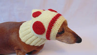 Hat dog pizza, hat pizza for small dog - dachshundknit