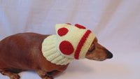 Hat dog pizza, hat pizza for small dog - dachshundknit