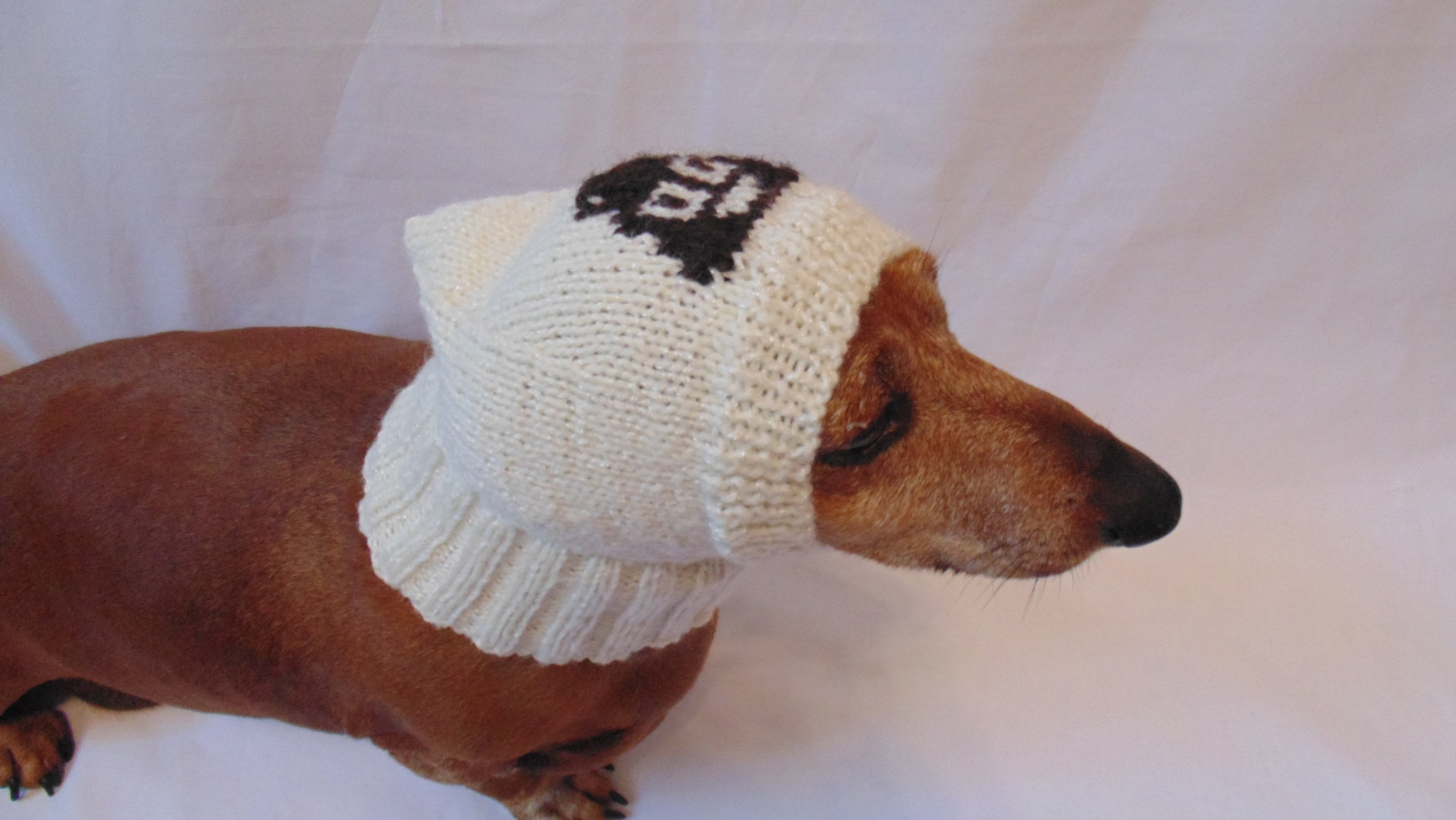 Winter hats clearance for small dogs