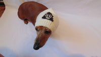 Hat for dog funny poop, warm winter hat for small dog - dachshundknit