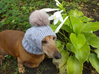 Hat for small dog with big pompom rabbit - dachshundknit