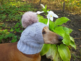 Hat for small dog with big pompom rabbit - dachshundknit