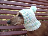 Clothes for dogs handmade knitted hat with pompon dachshundknit