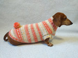 Knitted clothes dachshund sweater with pompom, dachshund clothes, dachshund sweater, doxie clothes dachshundknit