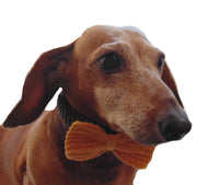 Knitted collar bow for dog cat,collar bow for dog cat - dachshundknit