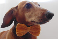 Knitted collar bow for dog cat,collar bow for dog cat - dachshundknit