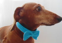 Knitted collar bow for dog cat,collar bow for dog cat, knitted collar for dog, collar for cat, decorative collar, gift collar for dog - dachshundknit
