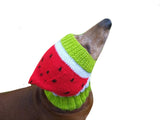 Knitted hat for dog watermelon dachshundknit