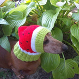 Knitted hat for dog watermelon dachshundknit