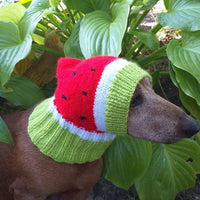 Knitted hat for dog watermelon dachshundknit