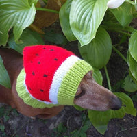 Knitted hat for dog watermelon dachshundknit