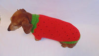 Knitted sweater strawberry for dogs, clothes for dachshunds dachshundknit