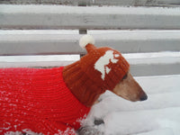 Knitted winter hat with bears for dachshund dogs - dachshundknit