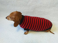 Red with black stripes dog knitted sweater, clothes for dachshund, sweater dog, clothes for dog, sweater for small dogs, dachshund sweater dachshundknit
