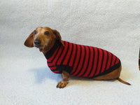 Red with black stripes dog knitted sweater, clothes for dachshund, sweater dog, clothes for dog, sweater for small dogs, dachshund sweater dachshundknit
