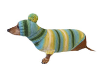 Set sweater and hat for dogs, sweater and hat for dachshunds, clothes for dogs, clothes for dachshunds - dachshundknit