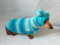 Warm blue suit sweater and hat for dog, clothes for dachshunds - dachshundknit