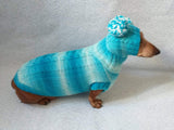 Warm blue suit sweater and hat for dog, clothes for dachshunds - dachshundknit