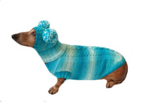 Warm blue suit sweater and hat for dog, clothes for dachshunds - dachshundknit