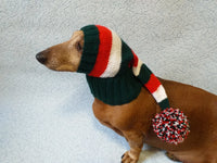 Winter clothes for dogs Christmas hat - dachshundknit