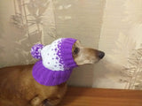 Winter knitted hat for small dog - dachshundknit