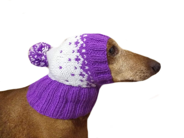 Winter knitted hat for small dog - dachshundknit