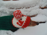 Winter knitted hat squirrels for a small dog, handmade hat dachshund, - dachshundknit