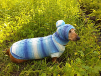 Winter set sweater and hat for dogs dachshund - dachshundknit