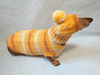 Winter warm sweater set and hat for dog, hat for dachshund dachshundknit